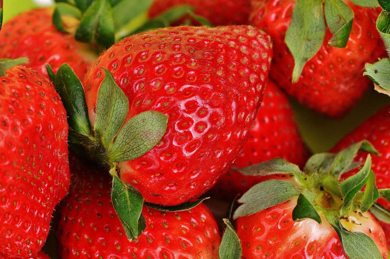 Eco-Friendly Tips for Your Holiday Celebrations